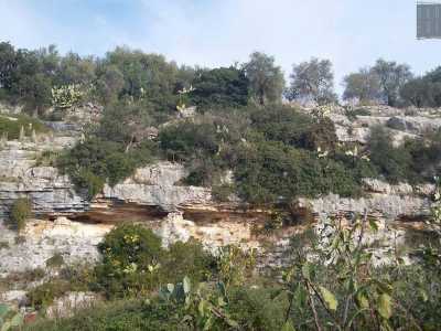 Cala che segna la foce dell�importante lama di San Giorgio: un�arteria verde e selvaggia che conserva al suo interno masserie, torri e chiese millenarie